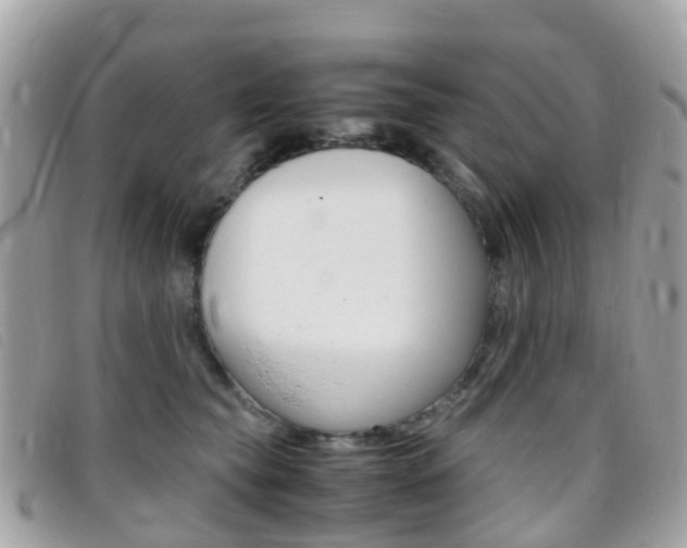 X0000095910565200801110830