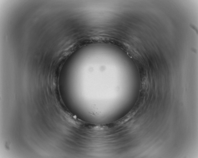 X0000095910566200801110830