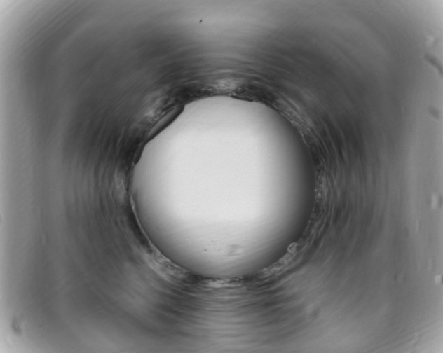 X0000095910568200801110830