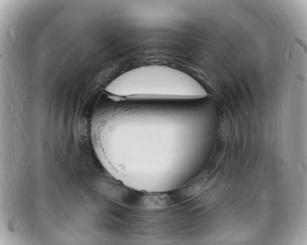 X0000095910571200801110830