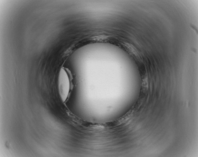 X0000095910572200801110830