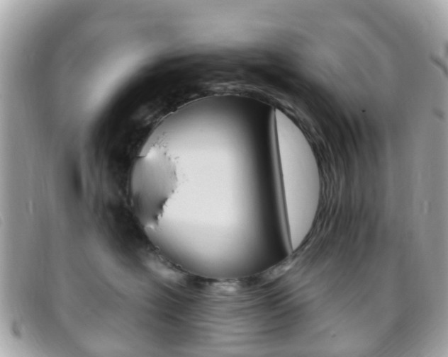 X0000095910574200801110830
