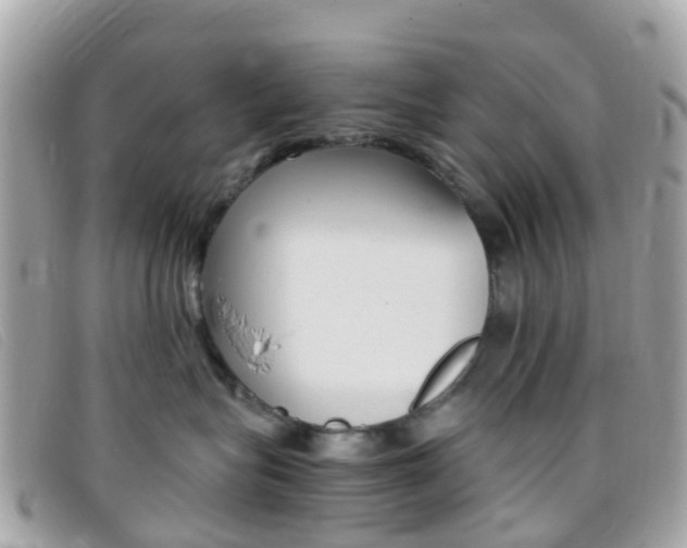 X0000095910575200801110830