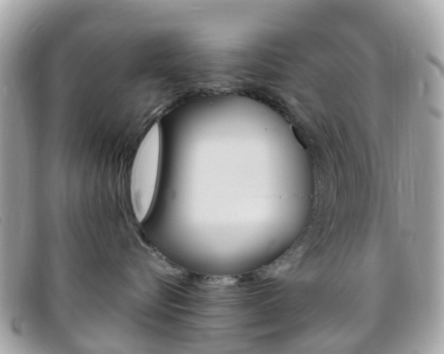 X0000095910576200801110830