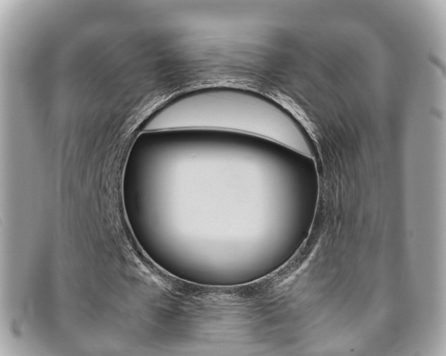 X0000095910577200801110829