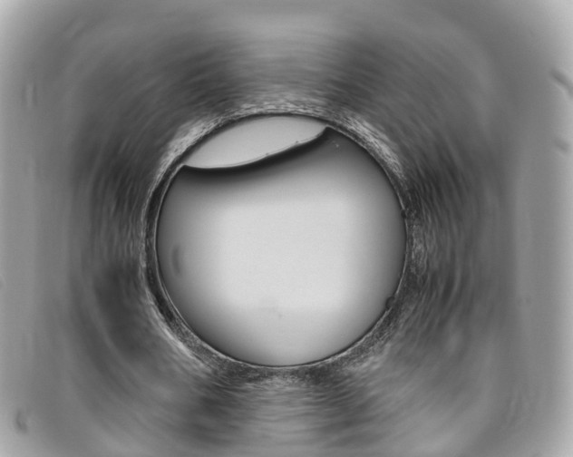 X0000095910578200801110829