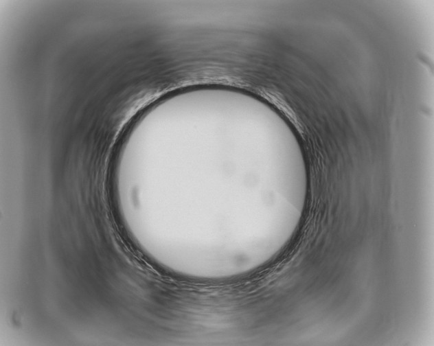 X0000095910579200801110829
