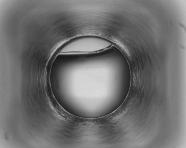 X0000095910580200801110829
