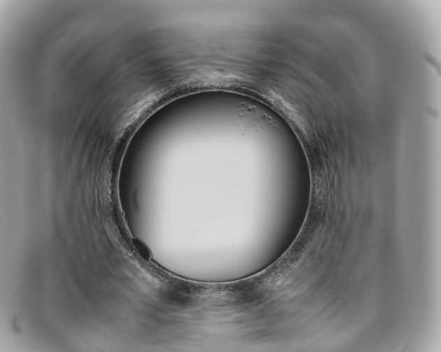 X0000095910581200801110829