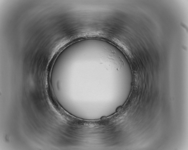 X0000095910582200801110829