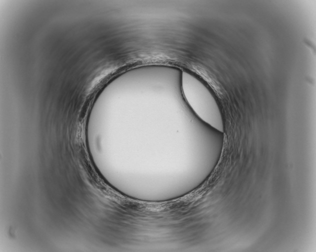 X0000095910583200801110829