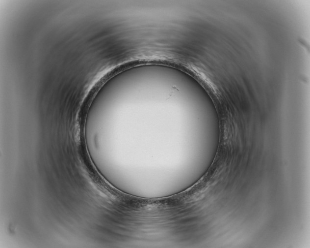 X0000095910584200801110829