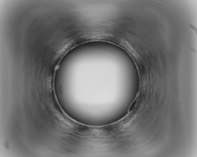 X0000095910585200801110829