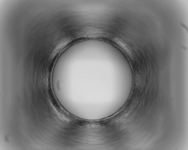 X0000095910586200801110829