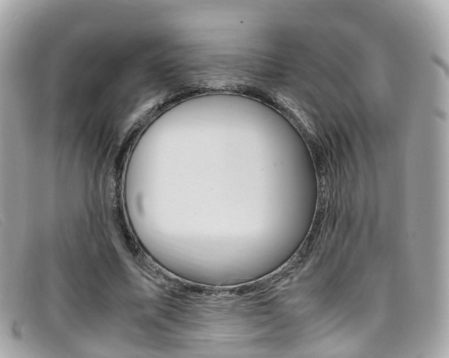 X0000095910587200801110829