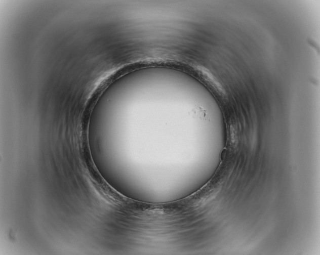 X0000095910588200801110829