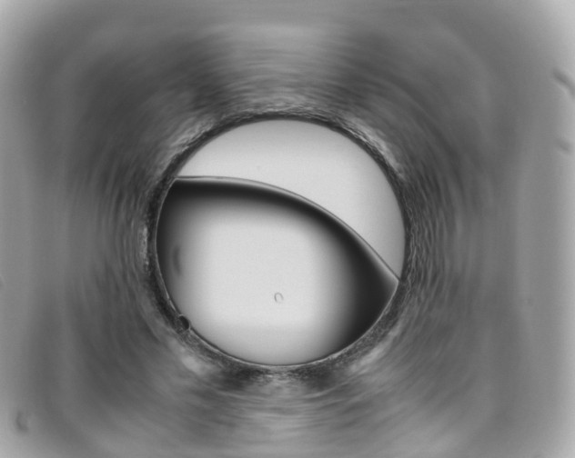 X0000095910589200801110829