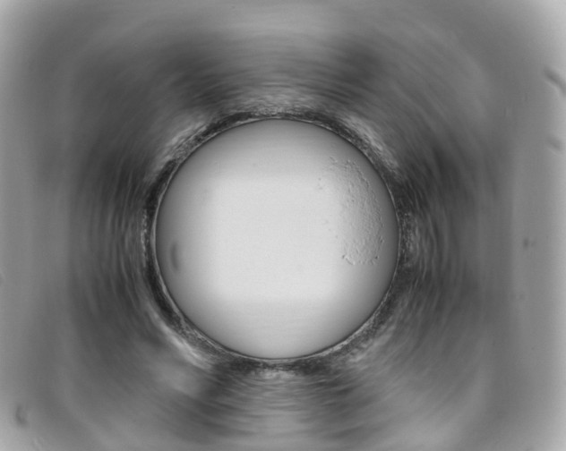 X0000095910590200801110829