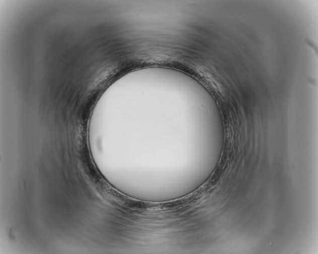 X0000095910591200801110829