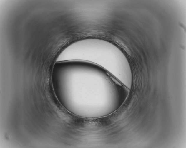 X0000095910593200801110829