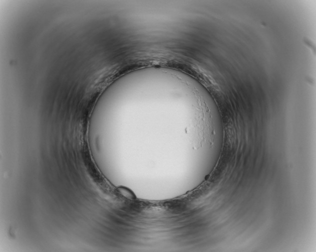 X0000095910594200801110829