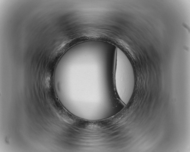 X0000095910596200801110829