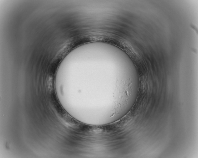 X0000095910598200801110829