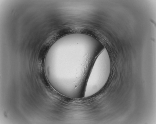 X0000095910599200801110829