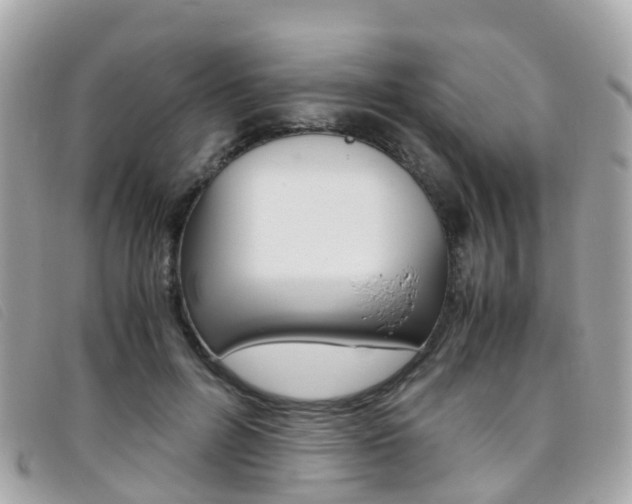 X0000095910600200801110829