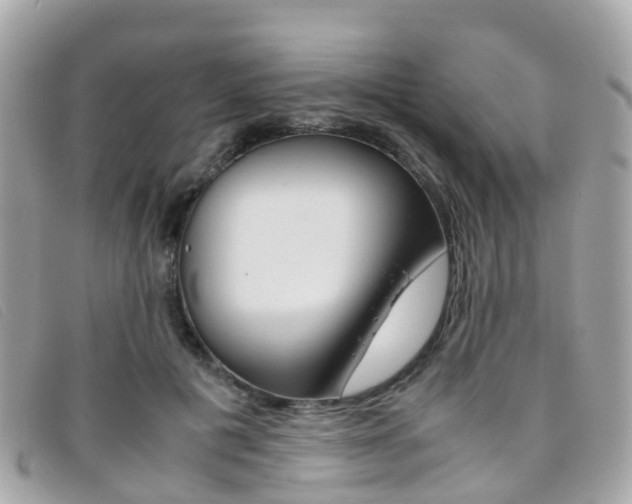 X0000095910601200801110829