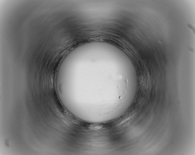 X0000095910602200801110829