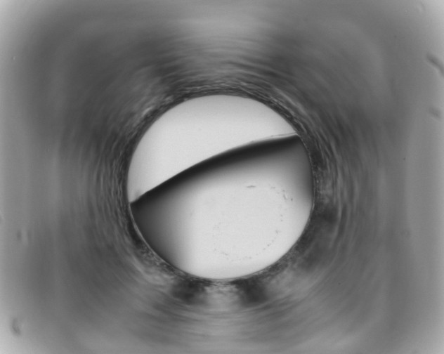 X0000095910603200801110829