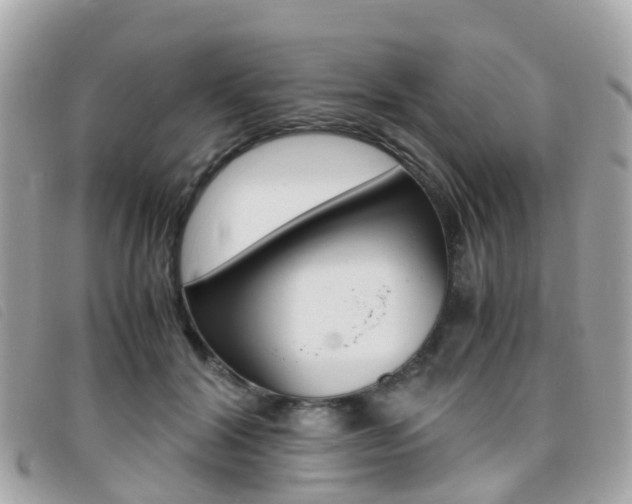 X0000095910604200801110829