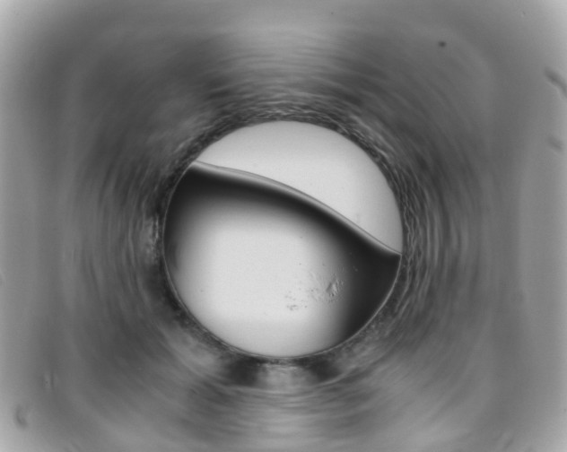 X0000095910605200801110829