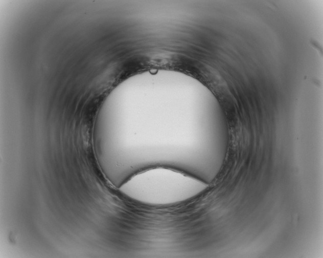X0000095910606200801110829