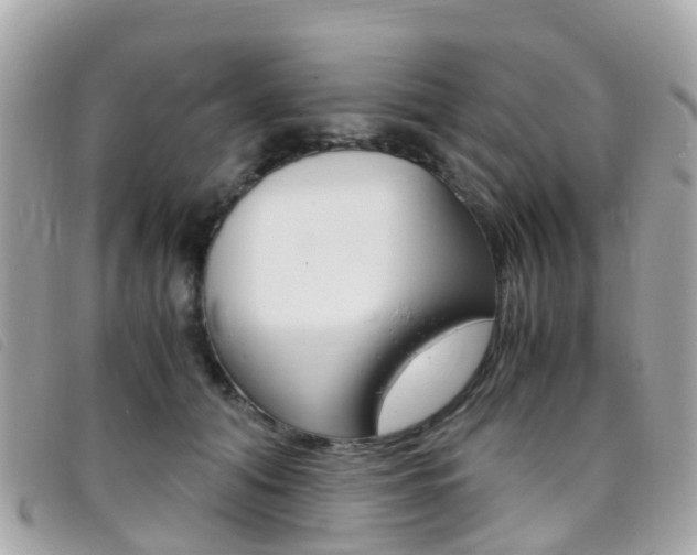 X0000095910608200801110829