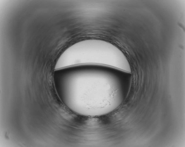X0000095910609200801110829