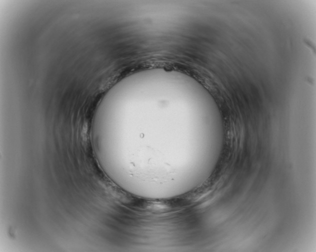 X0000095910610200801110829