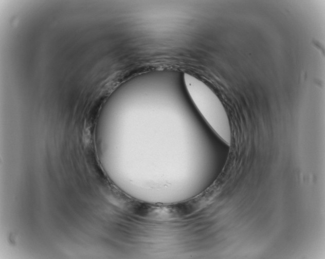 X0000095910611200801110829
