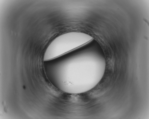 X0000095910612200801110829
