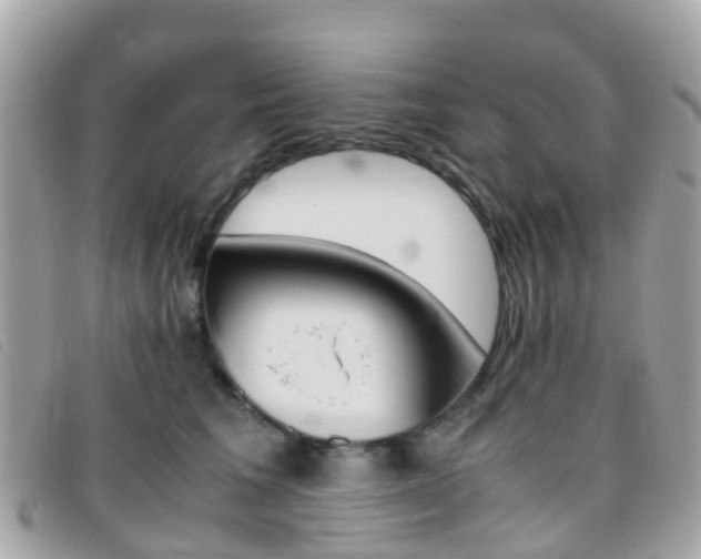 X0000095910613200801110829