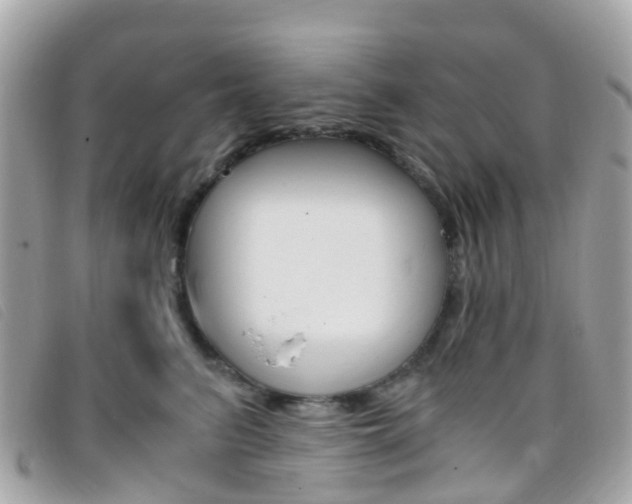 X0000095910615200801110829