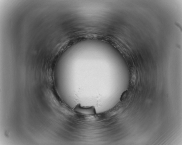 X0000095910616200801110829