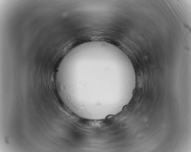 X0000095910618200801110829