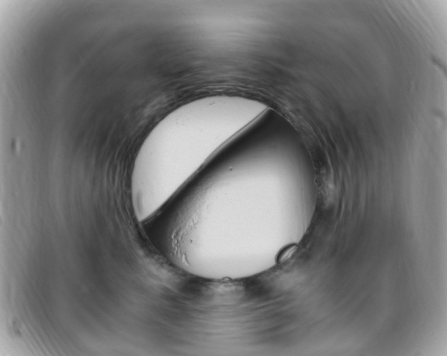 X0000095910619200801110829