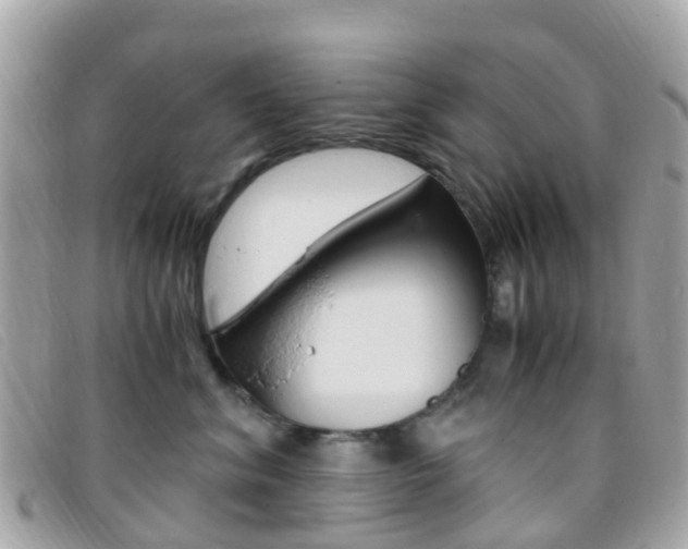 X0000095910620200801110829