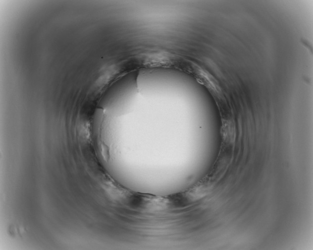 X0000095910621200801110829