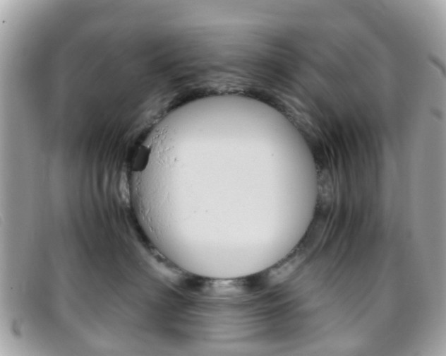 X0000095910622200801110829