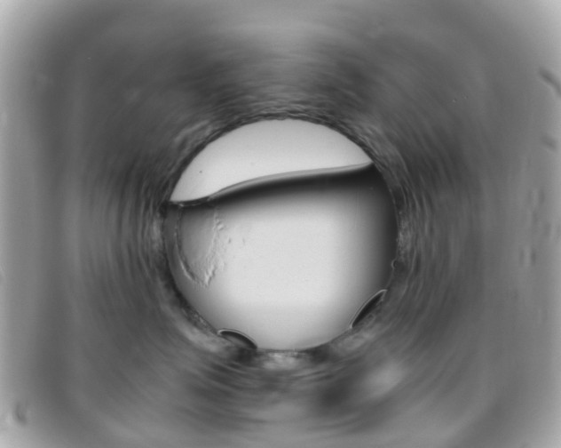 X0000095910623200801110829