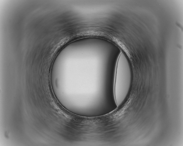 X0000095910625200801110828